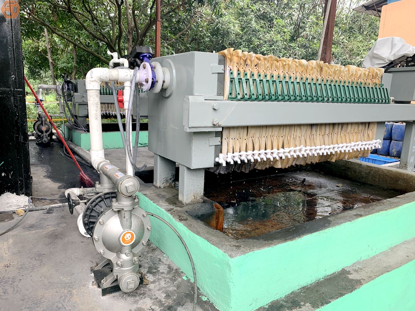 1717722685-5592.jpg 1717722685-5592.jpg