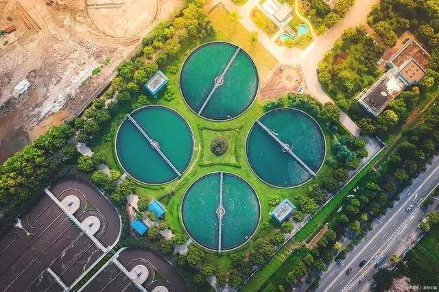 1723425925-8058.jpg 1723425925-8058.jpg