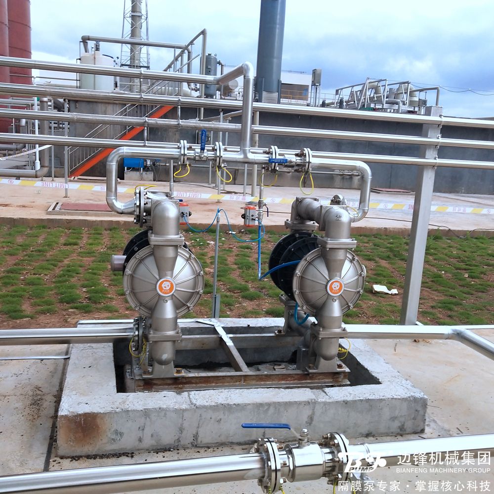 1725584816-7095.jpg 1725584816-7095.jpg