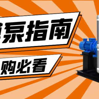 收下這份隔膜泵采購(gòu)指南，助你龍年“泵”發(fā)生產(chǎn)活力